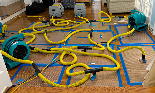 Professional Crawl Space Water Removal technician working in Summitville, IN